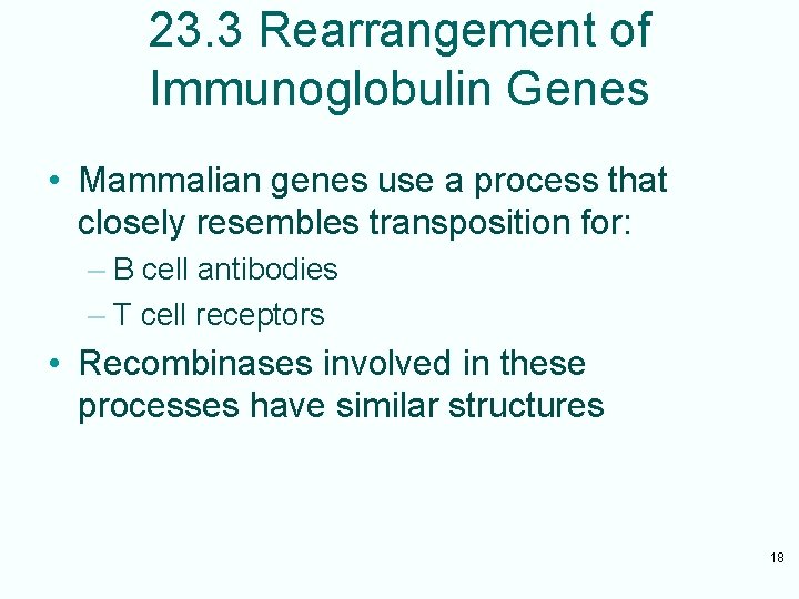23. 3 Rearrangement of Immunoglobulin Genes • Mammalian genes use a process that closely