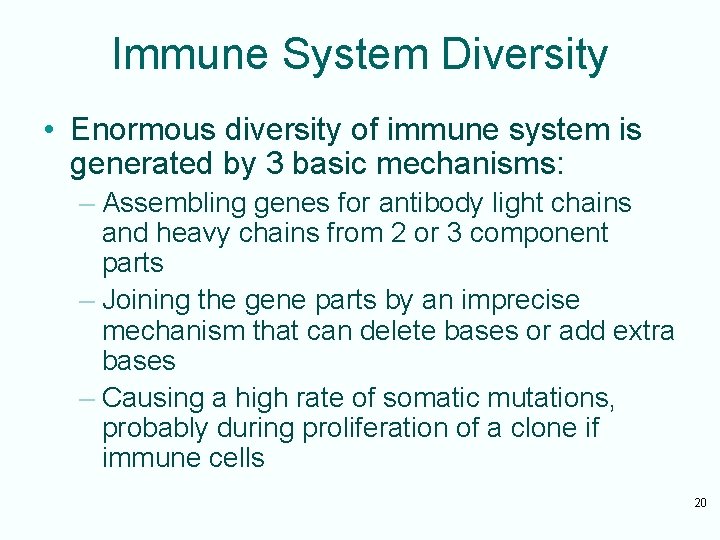 Immune System Diversity • Enormous diversity of immune system is generated by 3 basic