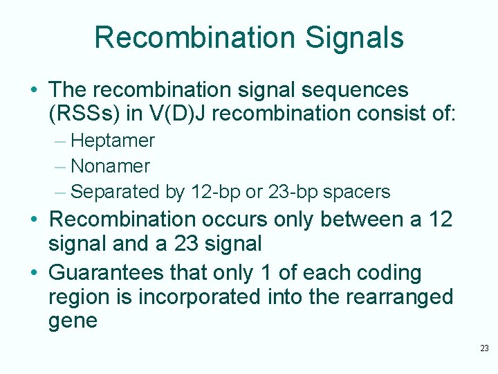 Recombination Signals • The recombination signal sequences (RSSs) in V(D)J recombination consist of: –