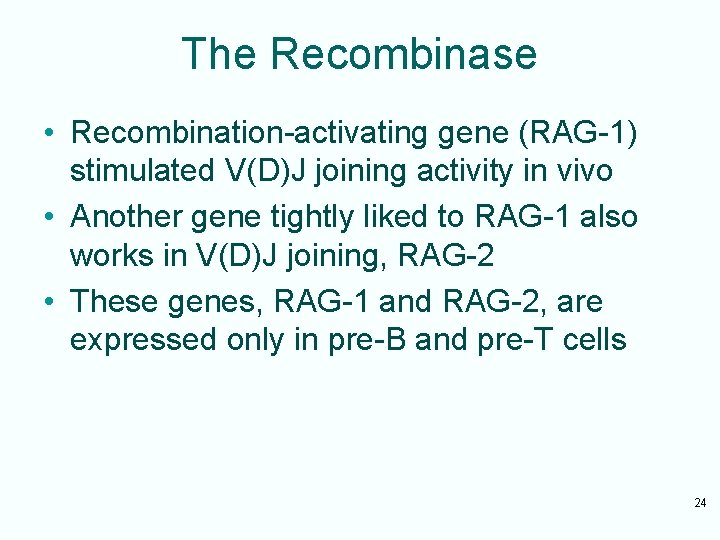 The Recombinase • Recombination-activating gene (RAG-1) stimulated V(D)J joining activity in vivo • Another