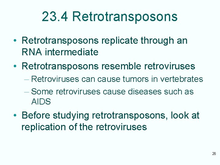 23. 4 Retrotransposons • Retrotransposons replicate through an RNA intermediate • Retrotransposons resemble retroviruses
