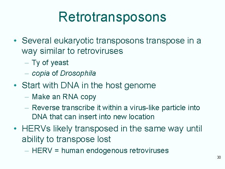 Retrotransposons • Several eukaryotic transposons transpose in a way similar to retroviruses – Ty