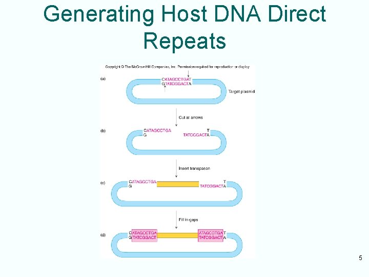 Generating Host DNA Direct Repeats 5 