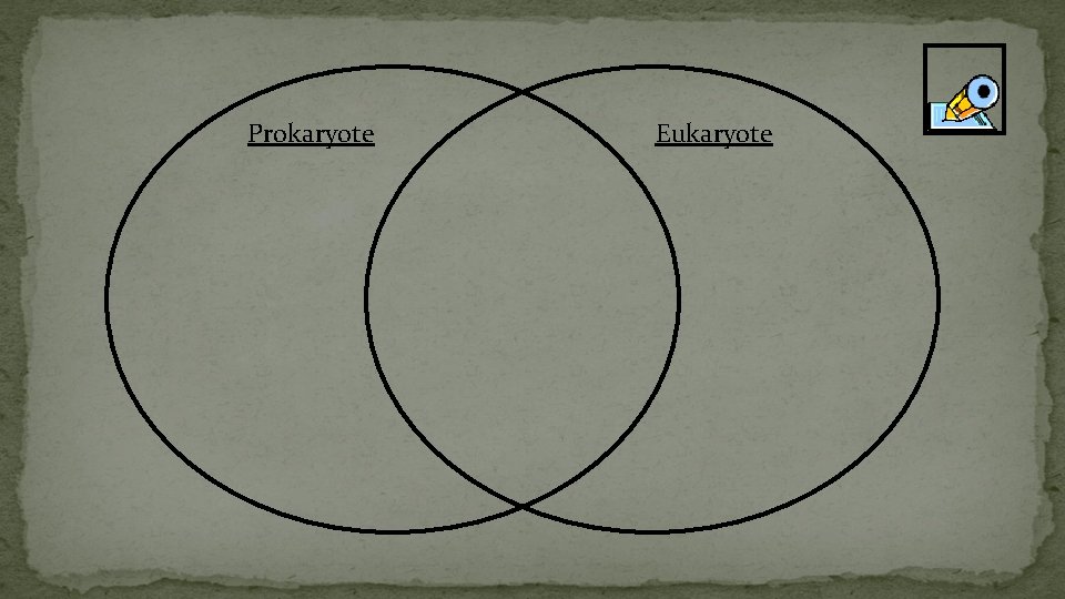 Prokaryote Eukaryote 