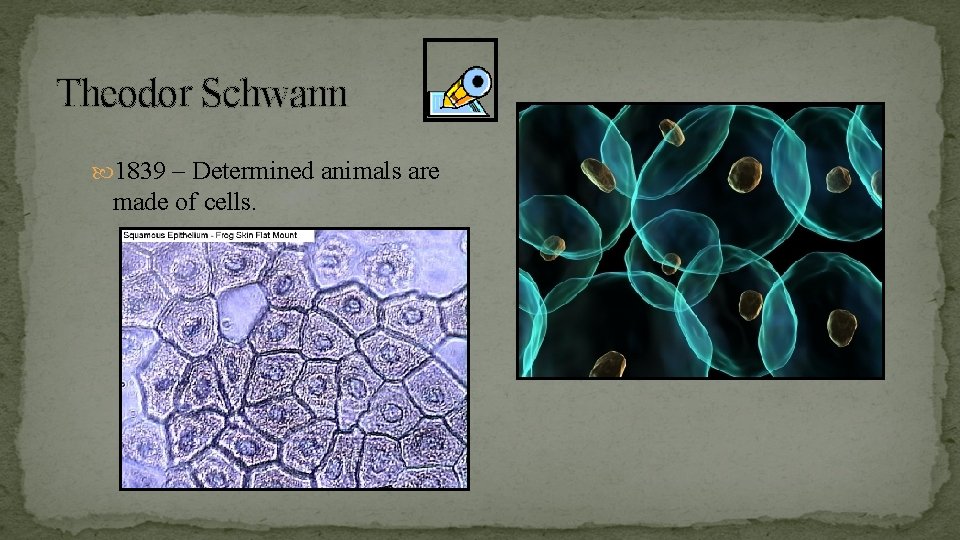 Theodor Schwann 1839 – Determined animals are made of cells. 