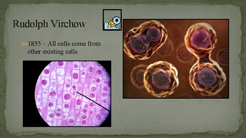 Rudolph Virchow 1855 – All cells come from other existing cells 
