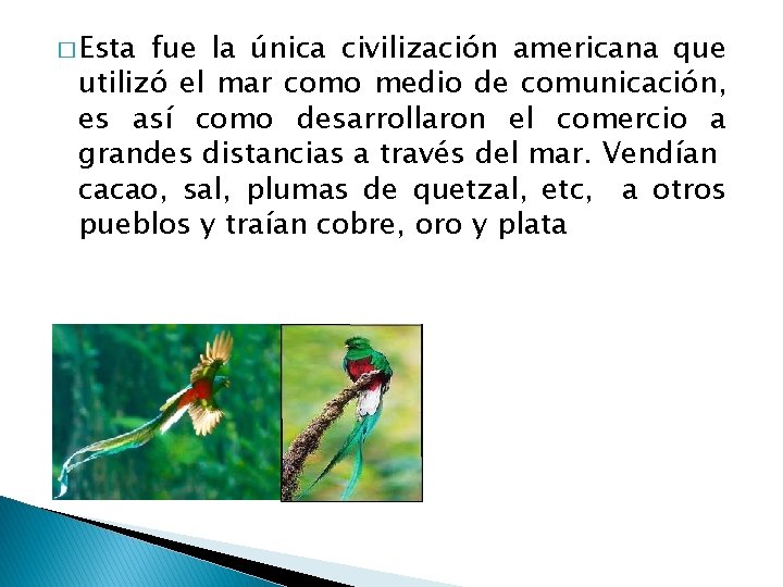 � Esta fue la única civilización americana que utilizó el mar como medio de