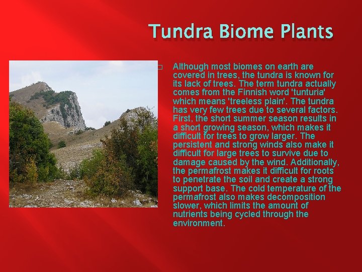 Tundra Biome Plants � Although most biomes on earth are covered in trees, the