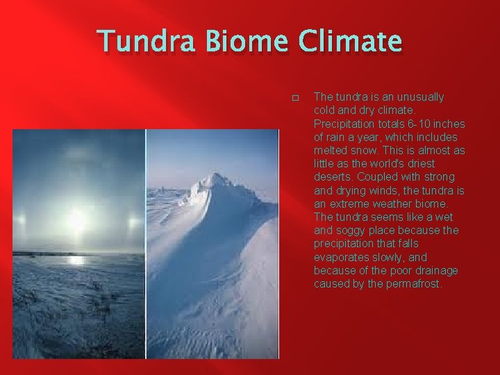 Tundra Biome Climate � The tundra is an unusually cold and dry climate. Precipitation