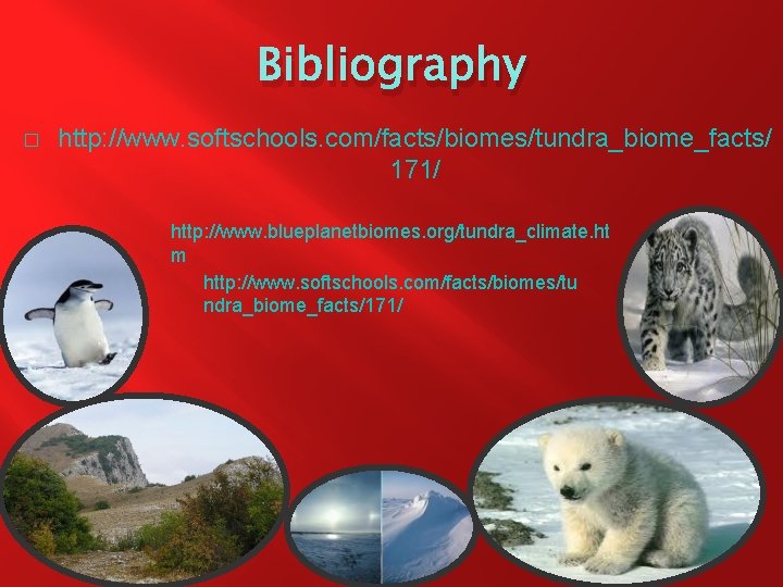 Bibliography � http: //www. softschools. com/facts/biomes/tundra_biome_facts/ 171/ http: //www. blueplanetbiomes. org/tundra_climate. ht m http: