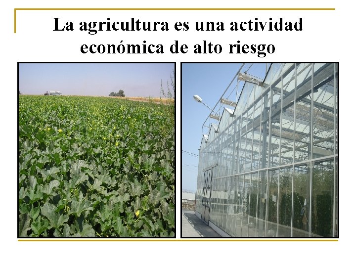 La agricultura es una actividad económica de alto riesgo 