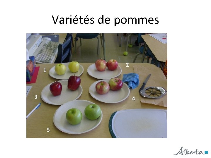 Variétés de pommes 2 