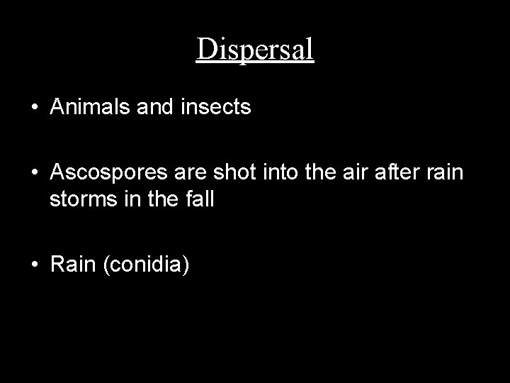 Dispersal • Animals and insects • Ascospores are shot into the air after rain