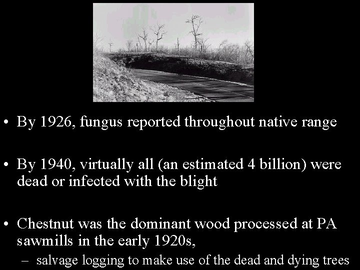 • By 1926, fungus reported throughout native range • By 1940, virtually all • By 1926, fungus reported throughout native range • By 1940, virtually all