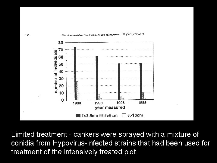 Limited treatment - cankers were sprayed with a mixture of conidia from Hypovirus-infected strains