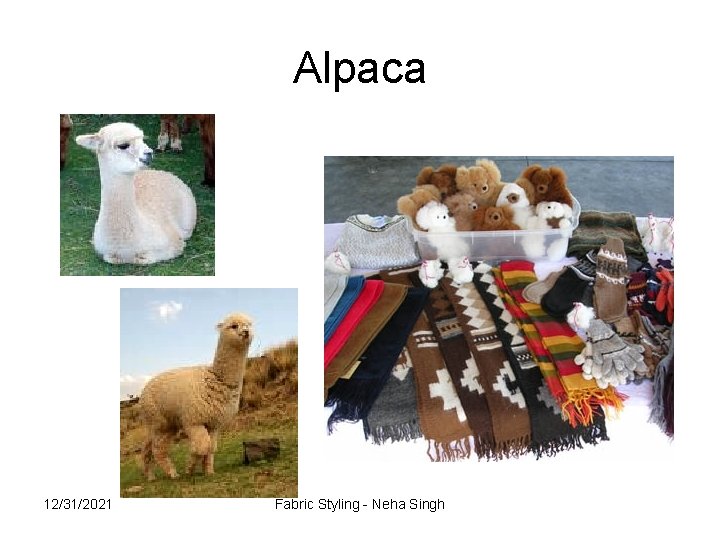 Alpaca 12/31/2021 Fabric Styling - Neha Singh 