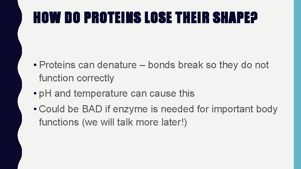 HOW DO PROTEINS LOSE THEIR SHAPE? • Proteins can denature – bonds break so