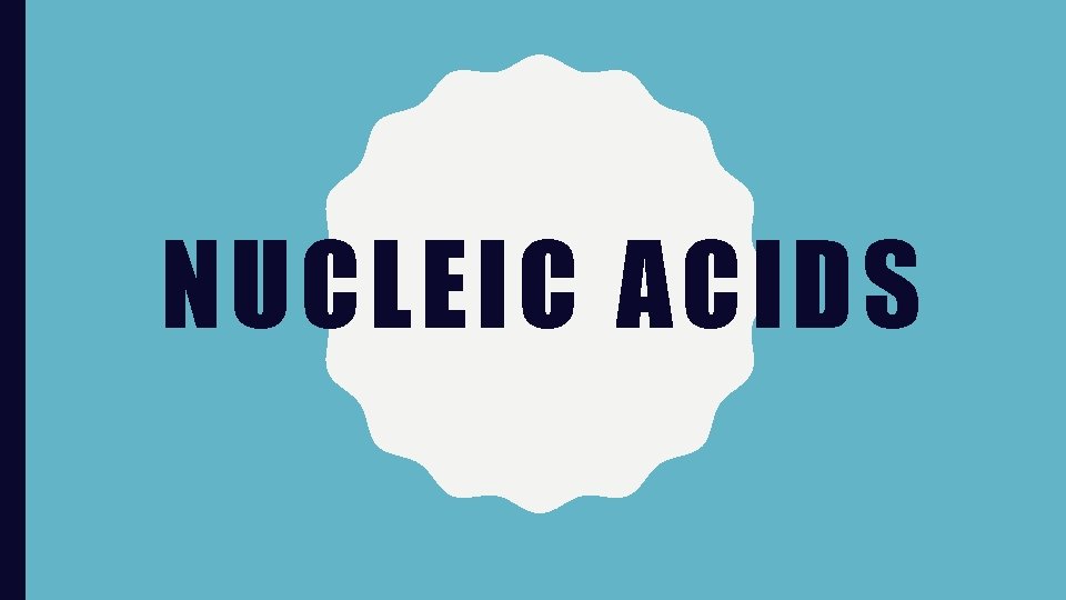 NUCLEIC ACIDS 