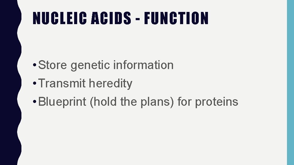 NUCLEIC ACIDS - FUNCTION • Store genetic information • Transmit heredity • Blueprint (hold