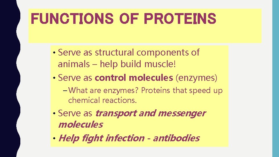 FUNCTIONS OF PROTEINS • Serve as structural components of animals – help build muscle!