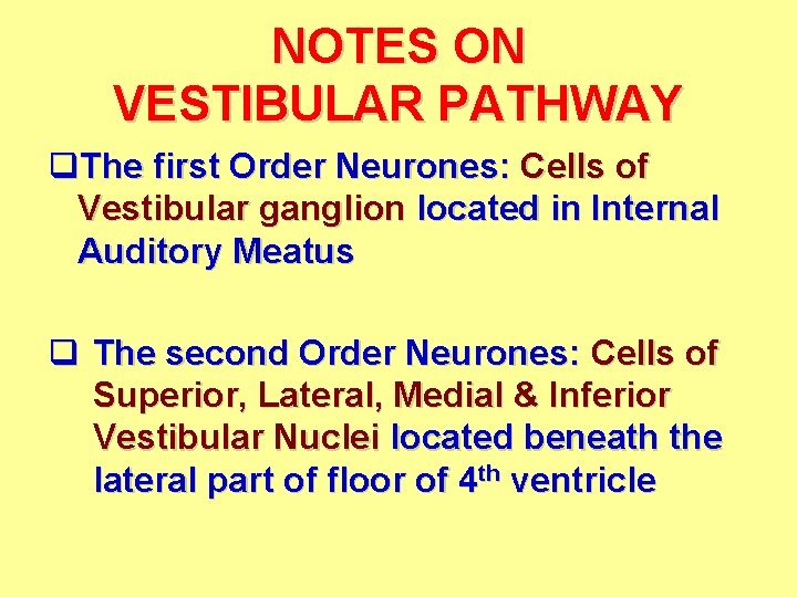 NOTES ON VESTIBULAR PATHWAY q. The first Order Neurones: Cells of Vestibular ganglion located