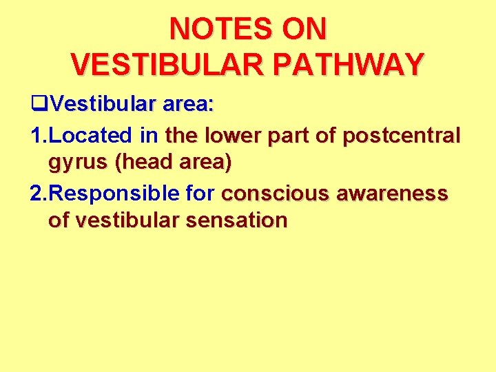 NOTES ON VESTIBULAR PATHWAY q. Vestibular area: 1. Located in the lower part of