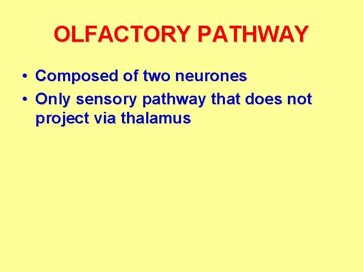 OLFACTORY PATHWAY • Composed of two neurones • Only sensory pathway that does not