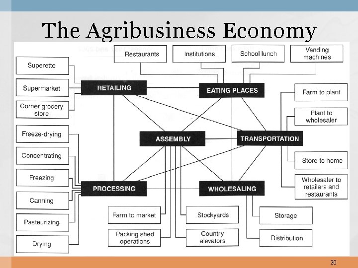 The Agribusiness Economy 20 