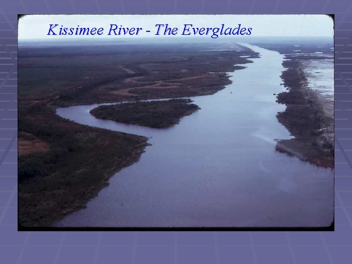 Kissimee River - The Everglades 