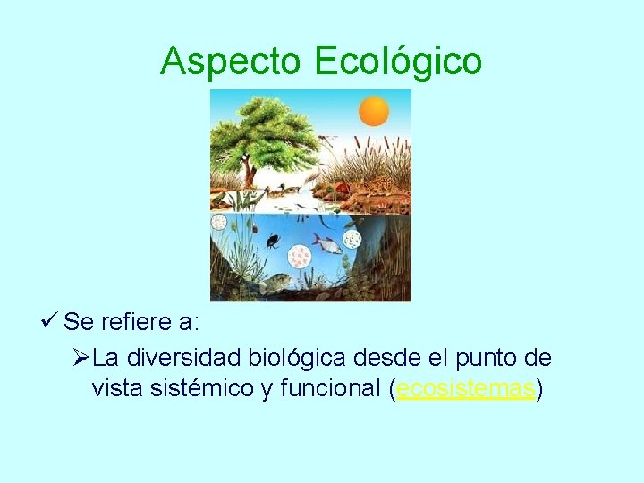 Aspecto Ecológico ü Se refiere a: ØLa diversidad biológica desde el punto de vista