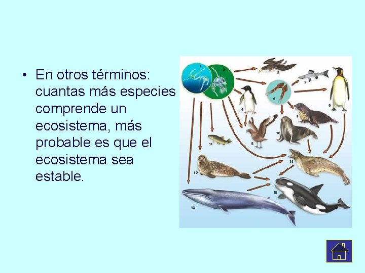  • En otros términos: cuantas más especies comprende un ecosistema, más probable es