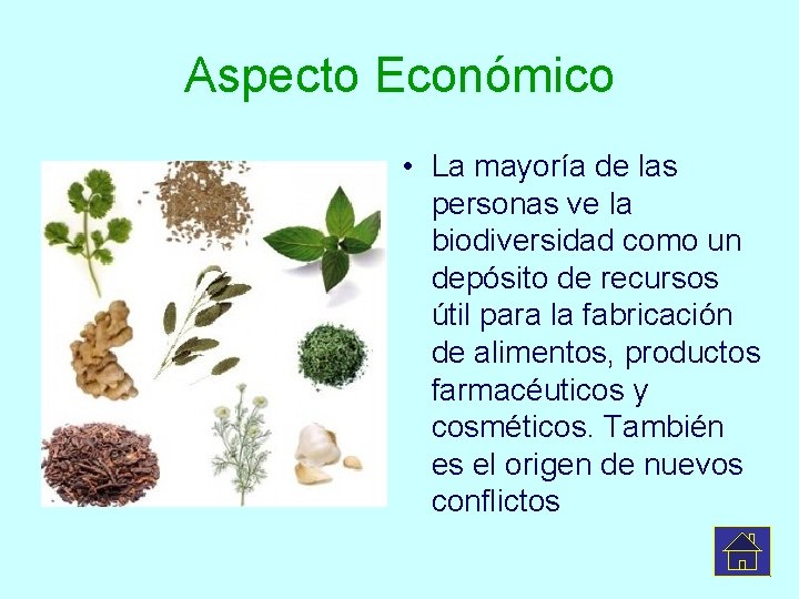 Aspecto Económico • La mayoría de las personas ve la biodiversidad como un depósito