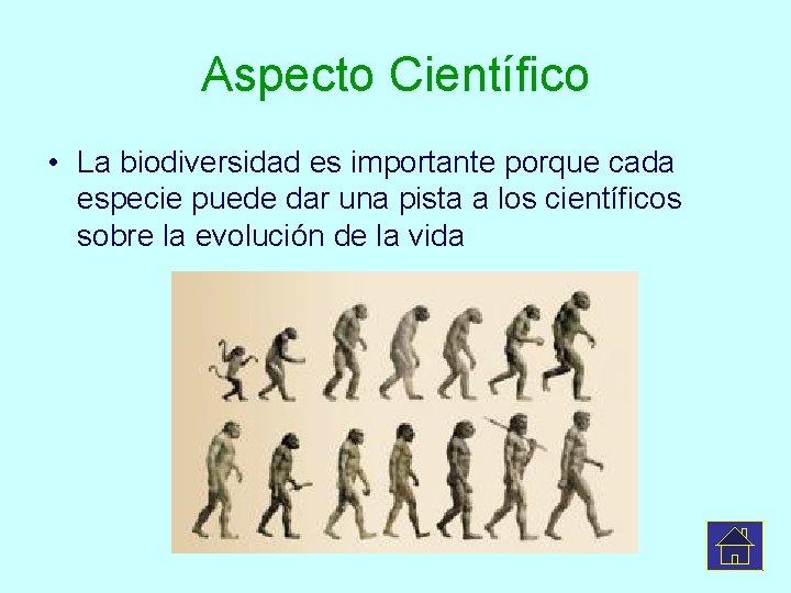 Aspecto Científico • La biodiversidad es importante porque cada especie puede dar una pista