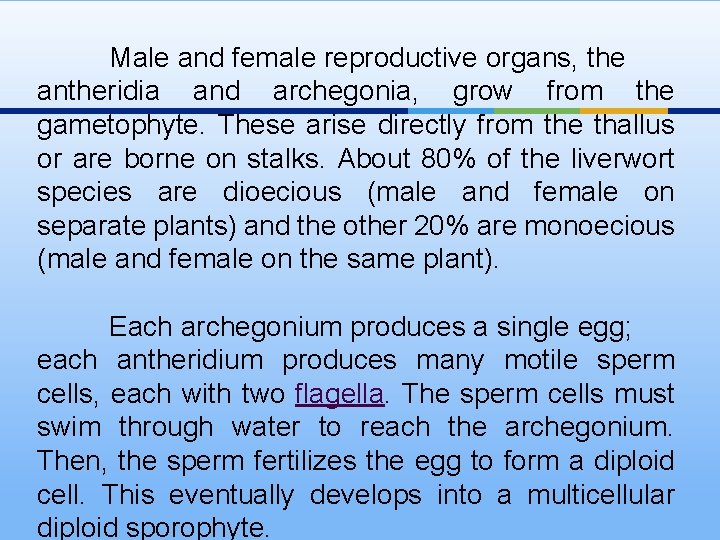 Male and female reproductive organs, the antheridia and archegonia, grow from the gametophyte. These
