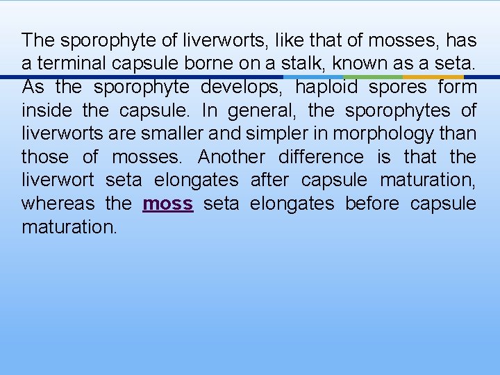 The sporophyte of liverworts, like that of mosses, has a terminal capsule borne on