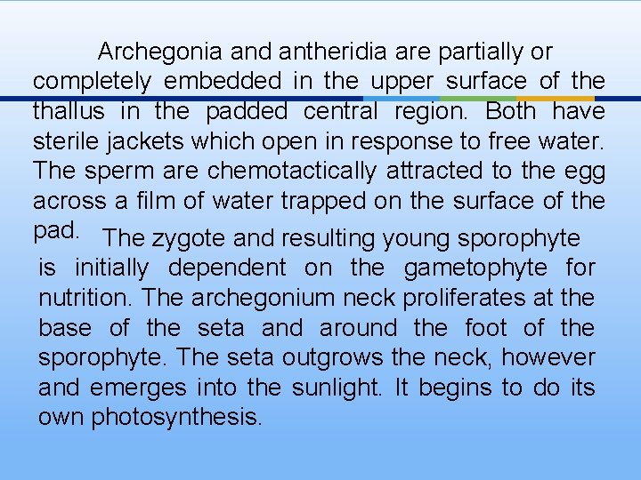 Archegonia and antheridia are partially or completely embedded in the upper surface of the