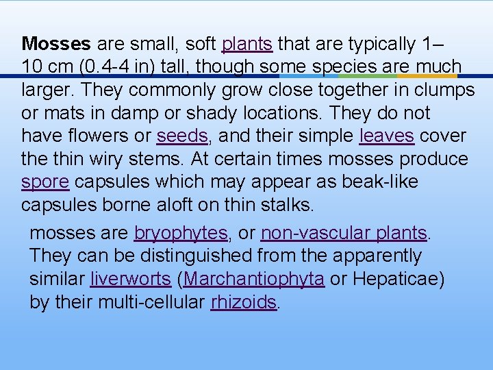 Mosses are small, soft plants that are typically 1– 10 cm (0. 4 -4