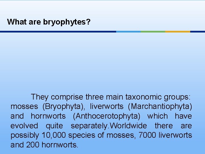 What are bryophytes? They comprise three main taxonomic groups: mosses (Bryophyta), liverworts (Marchantiophyta) and