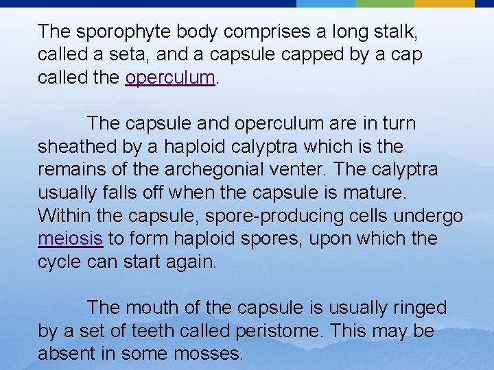 The sporophyte body comprises a long stalk, called a seta, and a capsule capped