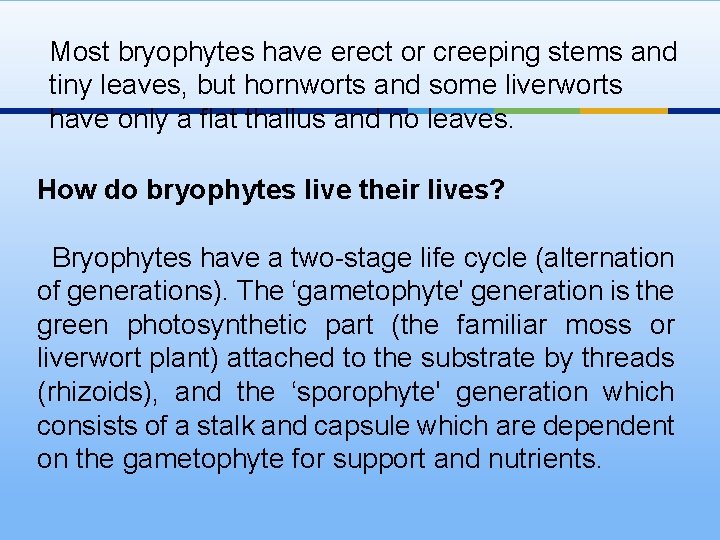 Most bryophytes have erect or creeping stems and tiny leaves, but hornworts and some