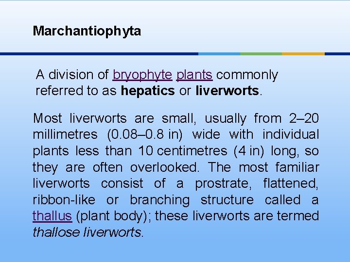 Marchantiophyta A division of bryophyte plants commonly referred to as hepatics or liverworts. Most