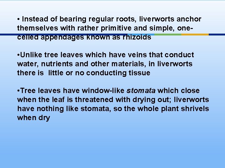  • Instead of bearing regular roots, liverworts anchor themselves with rather primitive and