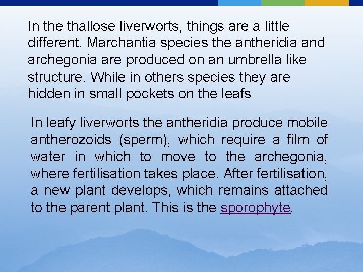 In the thallose liverworts, things are a little different. Marchantia species the antheridia and