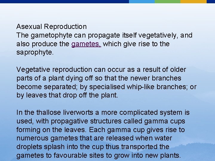 Asexual Reproduction The gametophyte can propagate itself vegetatively, and also produce the gametes, which