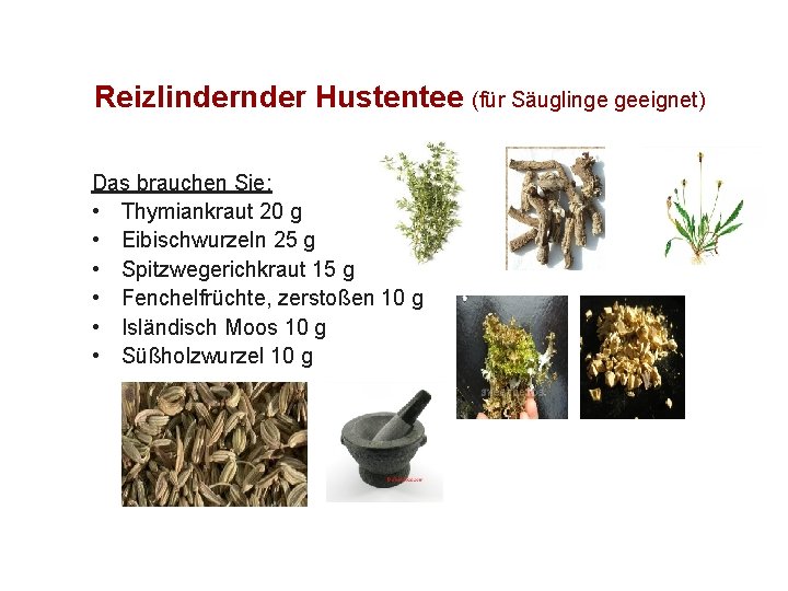 Reizlinder Hustentee (für Säuglinge geeignet) Das brauchen Sie: • Thymiankraut 20 g • Eibischwurzeln