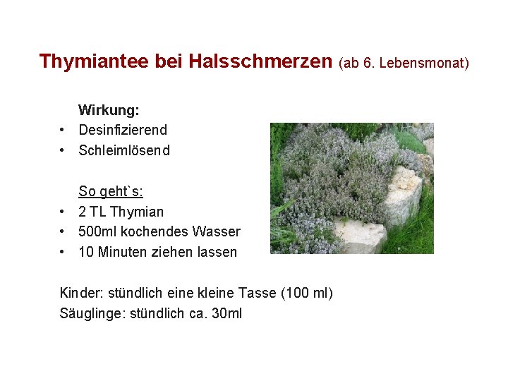 Thymiantee bei Halsschmerzen (ab 6. Lebensmonat) Wirkung: • Desinfizierend • Schleimlösend So geht`s: •
