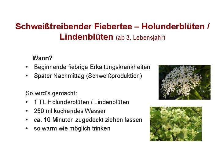Schweißtreibender Fiebertee – Holunderblüten / Lindenblüten (ab 3. Lebensjahr) Wann? • Beginnende fiebrige Erkältungskrankheiten