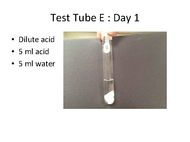 The Stomach Lab What liquids does the stomach