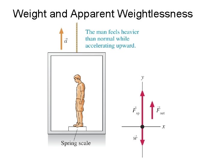 Weight and Apparent Weightlessness 