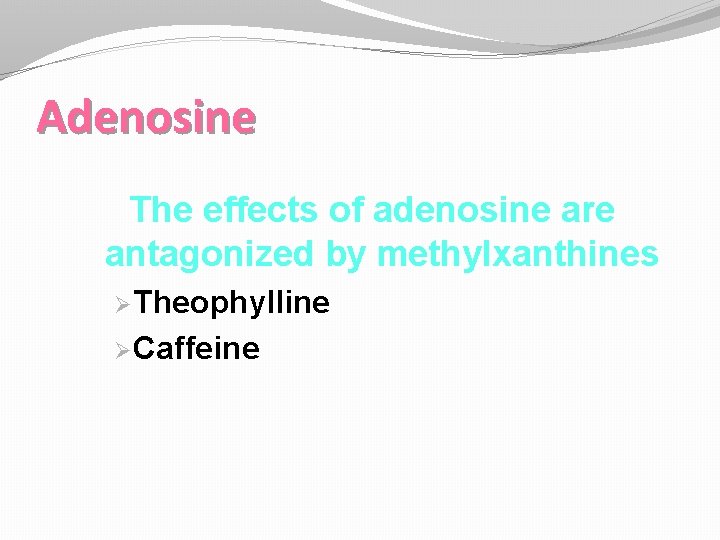 Adenosine The effects of adenosine are antagonized by methylxanthines Ø Theophylline Ø Caffeine 